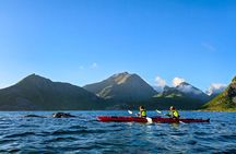 Afternoon Kayak Tour with Local Guide