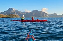 Afternoon Kayak Tour with Local Guide