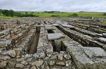 Hadrian's Wall, Vindolanda and Bamburgh Castle Private Tour