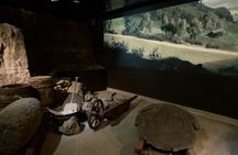Rynek Underground Museum Guided Tour in Krakow