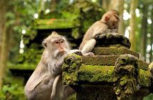 Leke Leke Waterfall and Heritage Tour in Tabanan Bali