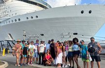 All day island tour veiws/history/shopping/beach