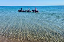 Private Horse Riding and Kourouta Beach Tour from Katakolo