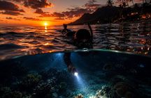 Turtle Town After Dark: With Lights & Stars (Turtle Guarantee)