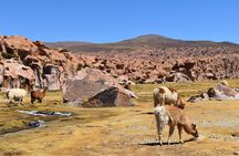 Tour 2 days Salar de Uyuni Reflections + Hot Springs Guide English