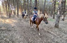 Beach and Pine Forest Horse Riding near Katakolo and Kourouta