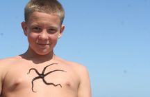 Safaga Full-Day Snorkeling Private Beach with Lunch & Transfers