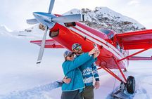 Denali Flyer Flightseeing Tour from Talkeetna