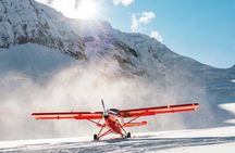 Flightseeing Tour from Talkeetna