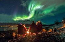 Tromsø: Northern Light Tour | 98% Success Rate | Full Arctic Gear