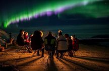 Tromsø: Northern Light Tour | 98% Success Rate | Full Arctic Gear