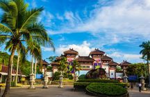 One Day Tour of NanShan Temple (include one meal)