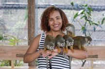 Puerto Plata: Monkeys & 7 Waterfalls Adventure