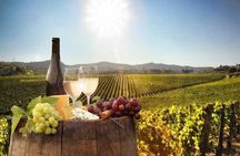 Paarl Franschhoek and Stellenbosch Wine Tasting Tour Full Day