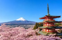 Mt. Fuji, Chureito Pagoda & Lake Kawaguchiko Day Tour from Tokyo