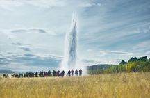 The Golden Circle and City Sightseeing