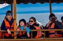 Day Trip to Lake Kerkini Greece Nature and Culture from Sofia