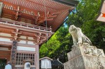 Kyoto: Kurama Hike & Kamo River Slow Cycling Tour