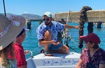 Ksamil: Lake Boat Tour With Swimming Mercedes Ride Food&Drinks