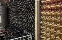 Tasting with winery visit in the heart of Franciacorta
