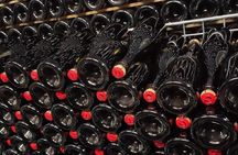 Tasting with winery visit in the heart of Franciacorta