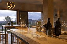 Maremma Wine Experience: 5 Wines & Local Specialties