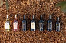 Maremma Wine Experience: 5 Wines & Local Specialties