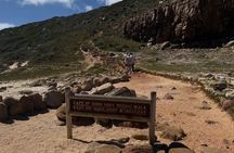 Full Day Cape Point and Boulders Beach Shared Tour from Cape Town