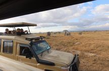 3 Days Taita Hills in Saltlick Lodge Private Safari from Mombasa
