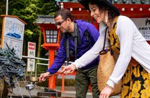 Tokyo to Hakone: Private & Personalized Day Trip with a Local