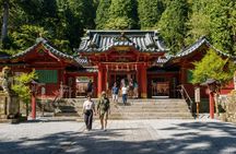 Tokyo to Hakone: Private & Personalized Day Trip with a Local