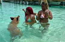 Path to Paradise: Swimming Pigs Adventure | Rose Island