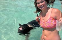 Path to Paradise: Swimming Pigs Adventure | Rose Island
