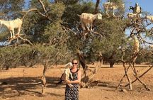 Luxury Private Day Trip to Essaouira From Marrakech