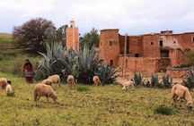 Atlas Mountains Ourika Valley and Waterfall Tour with Lunch