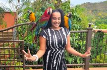 Macaw Sanctuary and City View