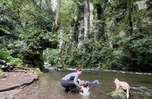 Hiking to Secret Waterfalls of the Coatepec Fog Forest