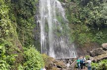 Hiking to Secret Waterfalls of the Coatepec Fog Forest
