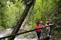 Hiking to Secret Waterfalls of the Coatepec Fog Forest