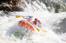Alberton Gorge Half Day Rafting Adventure