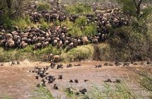 5-Day Great Migration Safari from Tanzania, Mara River and Big 5