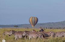5-Day Great Migration Safari from Tanzania, Mara River and Big 5