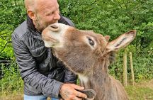 Scenic walks with mini donkeys, picnicking in the beautiful Brecon Beacons