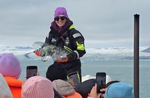 Reykjavik: Glacier Lagoon Boat Ride & South Coast Full Day Tour