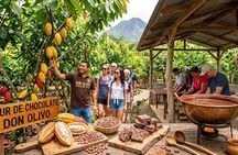 Don Olivo Chocolate Tour