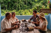 Don Olivo Chocolate Tour