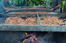 Don Olivo Chocolate Tour