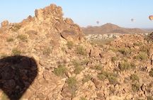 Sunrise Hot Air Balloon Adventure Over the Sonoran Desert