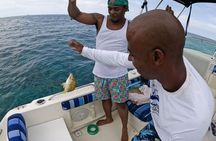 Snorkel Beaches and Pigs Shoreline Tour