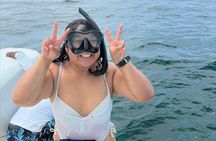 Snorkel Beaches and Pigs Shoreline Tour